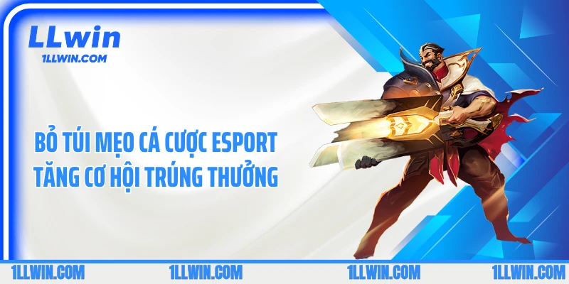 Bỏ túi mẹo cá cược esport tăng cơ hội trúng thưởng